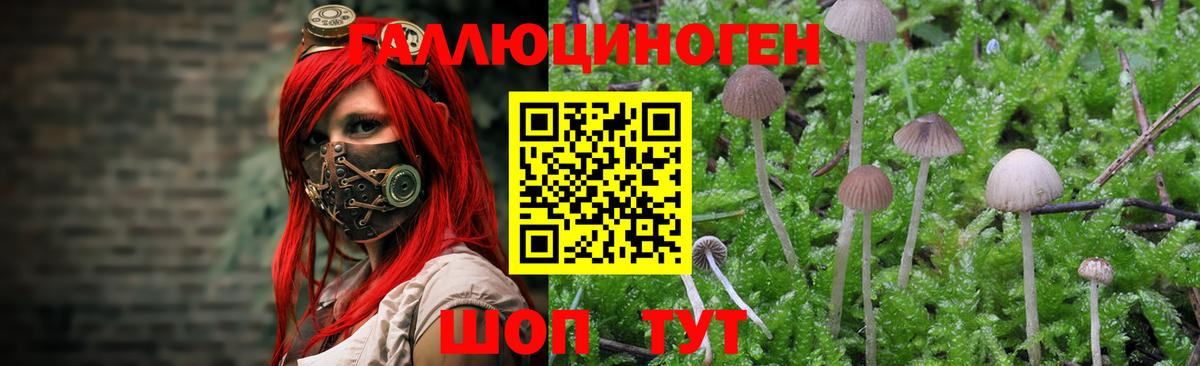 Псилоцибиновые грибы ЛСД Нефтекумск